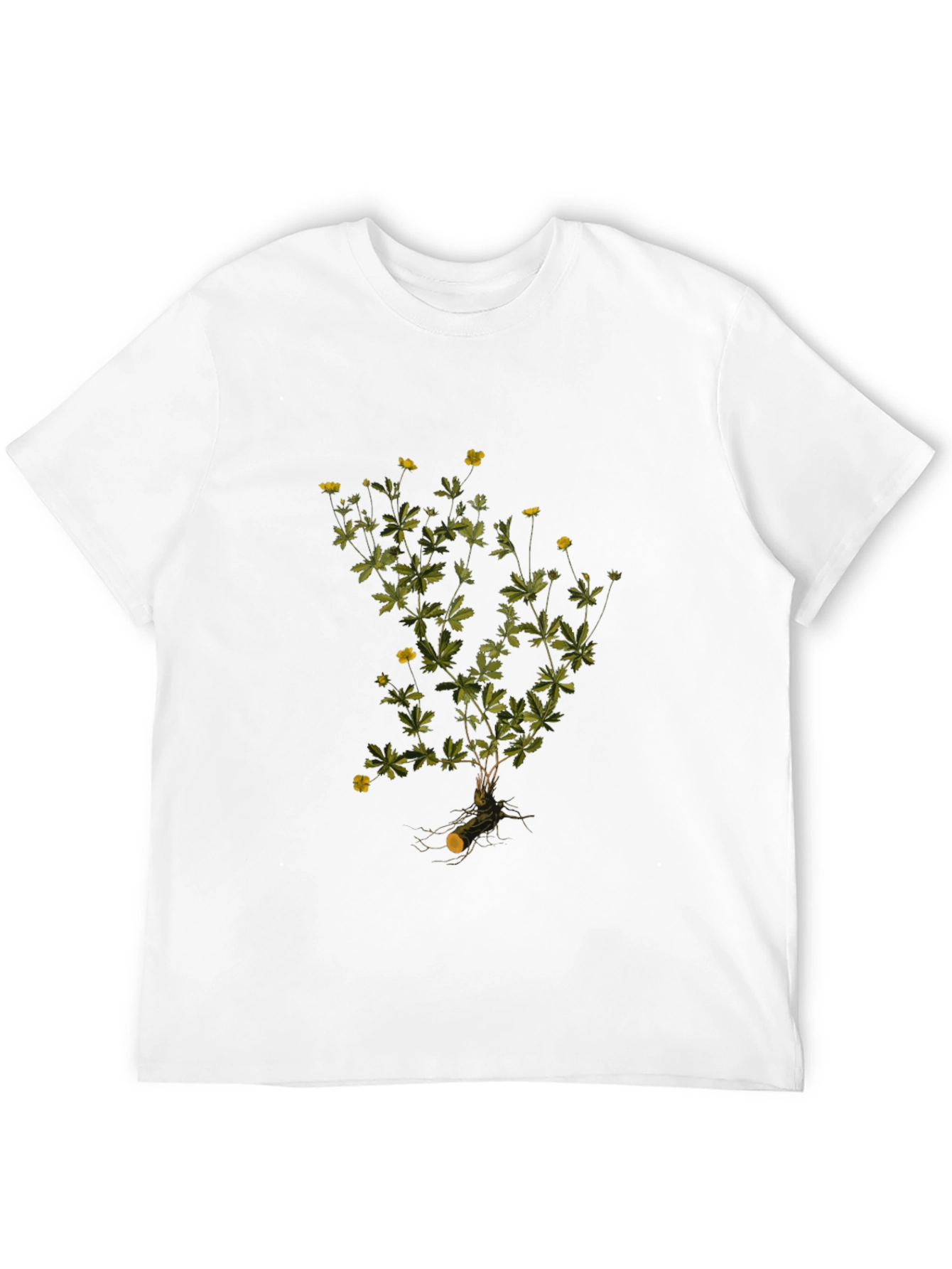 Botanical Print Black T-Shirt
