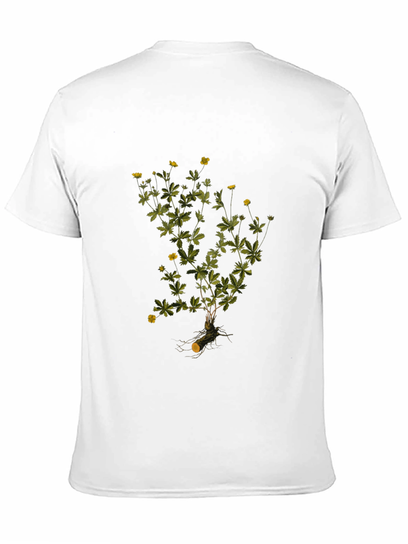 Botanical Print Black T-Shirt